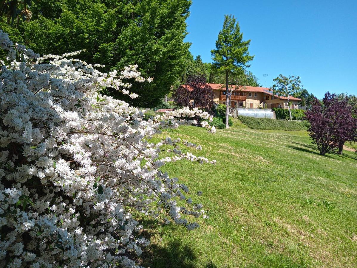 Costigliole Saluzzo L'Albore المظهر الخارجي الصورة
